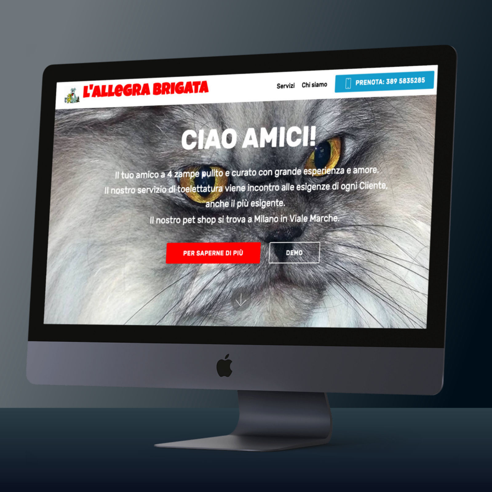 web design
